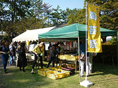 風景(陶芸祭の外観)